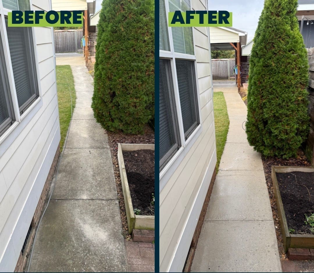 Before and After Residential House Walkway Cleaning in Chattanooga TN by QualityPRO Power Washing