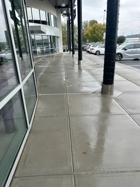 Wet sidewalk outside a glass-front building with tall black-wrapped columns and a row of parked cars nearby, after rain.