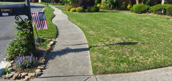 Curving concrete sidewalk beside a tidy front lawn; a mailbox with an American flag and a flower bed with purple lavender along a stone border.