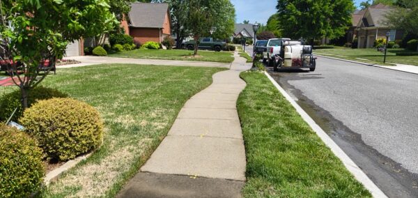 Curved concrete sidewalk in a sunny suburban street, with green lawns and houses on both sides and a utility trailer parked on the curbside road.