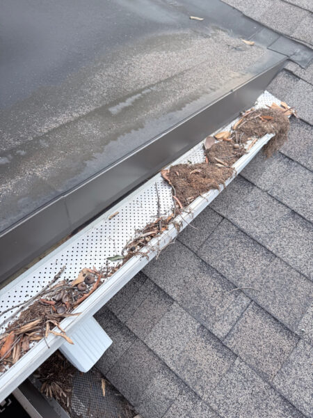 This project involved a comprehensive exterior refresh of a Chattanooga home using soft washing and surface cleaning to safely remove dirt, mold, and residue from the siding, gutters, porches, concrete walkways, brick retaining walls, entryway columns, wooden swing, and stone pool deck.