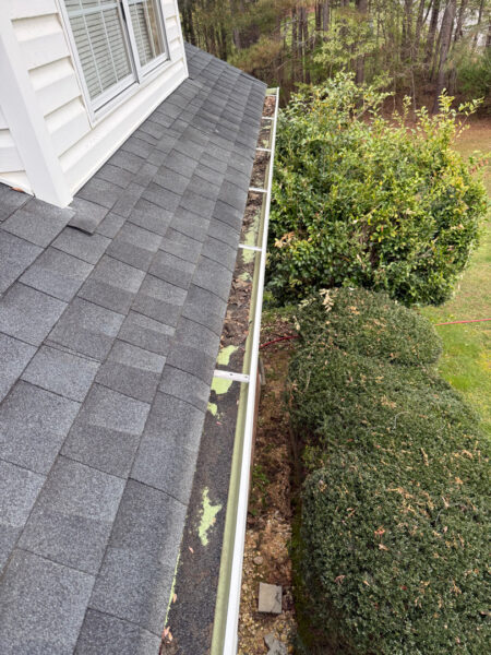 Overhead view of a sloped shingle roof with a metal gutter and brackets along the edge; green moss patches on the fascia and trimmed bushes below.
