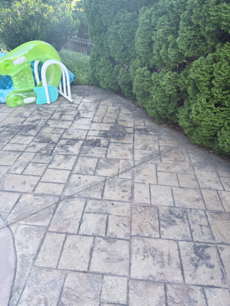 Professional cleaning and pressure washing were performed on a concrete pool deck and a retaining wall in Chattanooga to remove mold, mildew, and grime through the application of specialized detergents and methodical surface washing.