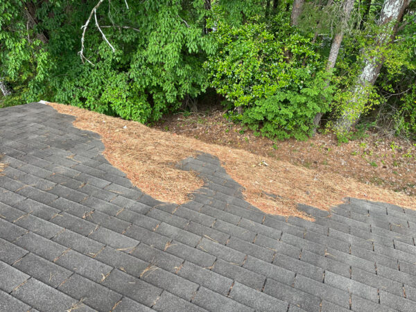 This project involved a complete exterior maintenance visit for a one-story home in Harrison that included cleaning the gutters and downspouts, blowing debris off the asphalt shingle roof, and washing the first-story exterior window glass.