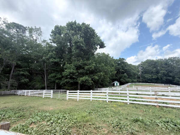 A fenced pasture with white wooden rails, a small green-roofed shed near trees, under a partly cloudy sky.