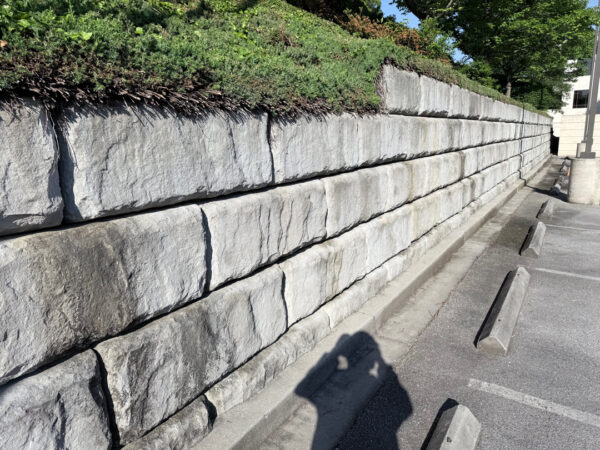 This project in Chattanooga utilized specialized soft wash and surface cleaning techniques to remove organic growth and contaminants from a retaining wall and street light concrete bases while preserving the structural integrity of the masonry.