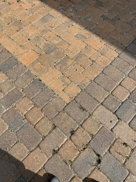 This project involved restoring a patio's appearance through a thorough, chemical-free pressure washing process that removed weeds, organic growth, and debris to refresh the natural color of the hardscape.