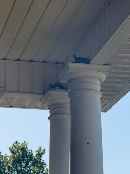 This project in Ider featured a comprehensive soft wash of the residence and garage along with a restorative surface treatment of the driveway and walkways to remove organic growth and prepare exterior wood surfaces for painting.