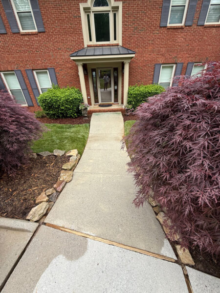 Brick townhouse entry with white columns, glass front door, and curved concrete walkway; a purple-leaf maple on the right and green shrubs on the left.