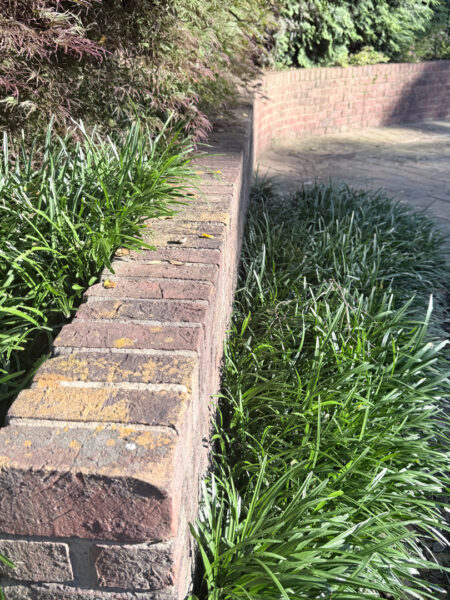 Professional cleaning and pressure washing were performed on a concrete pool deck and a retaining wall in Chattanooga to remove mold, mildew, and grime through the application of specialized detergents and methodical surface washing.