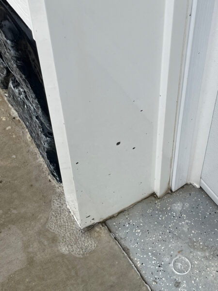 Professional soft wash exterior cleaning will be performed on the main house, porches, and three garage buildings, targeting all vertical surfaces and roofline components to remove organic growth and debris with a one-year warranty.