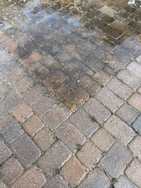 This project involved restoring a patio's appearance through a thorough, chemical-free pressure washing process that removed weeds, organic growth, and debris to refresh the natural color of the hardscape.