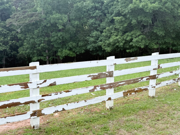 White wooden split-rail fence with peeling brown paint, green grass, and a dense tree line in the background.