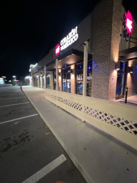 Professional soft-wash exterior cleaning and surface restoration were performed across multiple residential and commercial sites in the greater Chattanooga area to remove organic growth and staining while protecting property features.