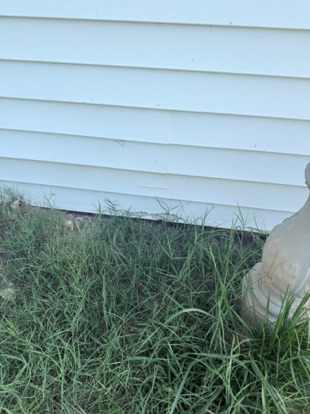 The contractor performed a comprehensive exterior cleaning in Chickamauga, utilizing soft washing for the home and workshop siding and professional surface cleaning for all concrete driveways, walkways, and patios.