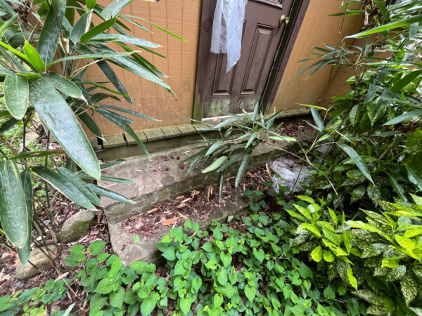 This project involved the soft washing of a one-story residence's exterior, its driveway and walkway pavers, and a stone fountain, alongside the cleaning of a commercial metal roof, to remove organic growth and restore the appearance of all surfaces in McDonald.