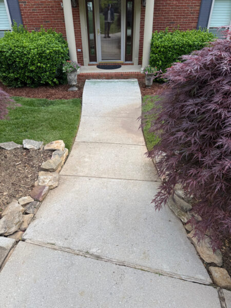 Concrete walkway leads to a brick house front door, framed by green shrubs and potted plants on the steps.