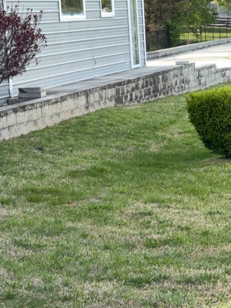 Side view of a blue-gray house with a concrete step leading to a door and a low stacked-stone retaining wall along the yard.