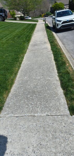 Concrete sidewalk runs down the center of a residential street, with green lawns on both sides and a white SUV parked along the curb on the right; trees and houses visible in the background.