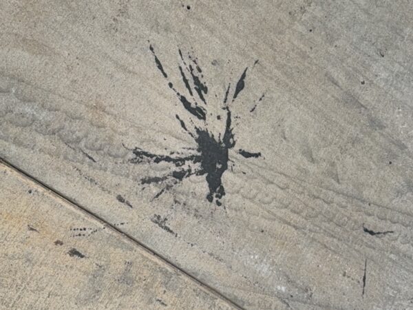 Professional surface washing and detergent treatment were performed on the concrete entrance and exit pads of a commercial scale in Chattanooga to remove organic buildup while strictly adhering to site-specific exclusion zones.