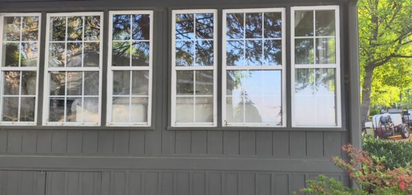 Grey wooden wall with five white-framed windows reflecting trees; a trailer and greenery visible at right.