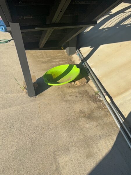This project involved a comprehensive exterior cleaning of a Cleveland outdoor living space, utilizing specialized detergents and soft-wash techniques to remove pet hair, organic growth, and grime from a concrete pool deck and a multi-level wood deck.