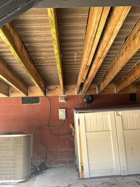 This project involved a comprehensive exterior cleaning of a Cleveland outdoor living space, utilizing specialized detergents and soft-wash techniques to remove pet hair, organic growth, and grime from a concrete pool deck and a multi-level wood deck.