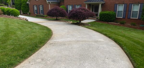 Curved concrete driveway leading to a brick house with purple-leafed trees and a manicured lawn.