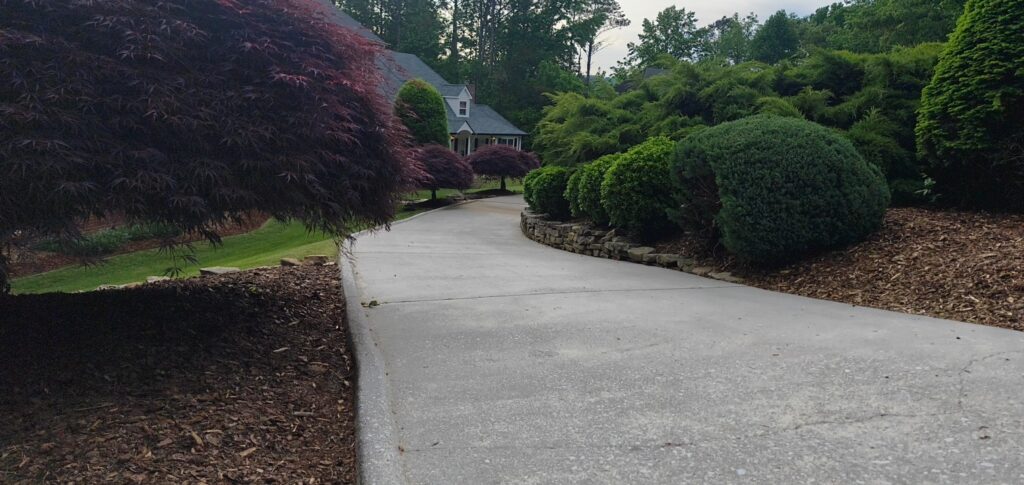 Curved concrete driveway bordered by trimmed shrubs and a stone wall, leading to a house in the distance.