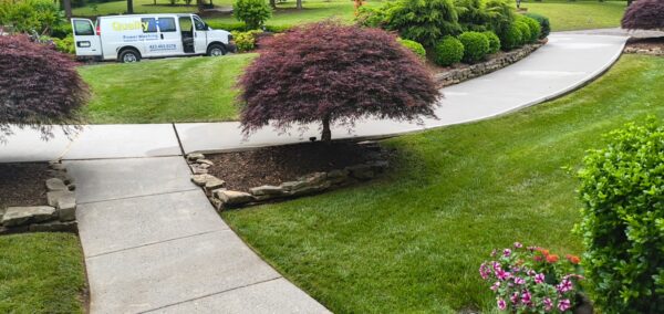 Curved concrete walkway through a manicured lawn with a purple-leaf tree and stone edging; a white van with 'QualityPRO' in the background.