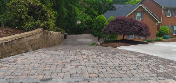 Brick-paved driveway curves toward a brick house, with a purple-leaved Japanese maple and trimmed shrubs along the right and a stone retaining wall on the left.