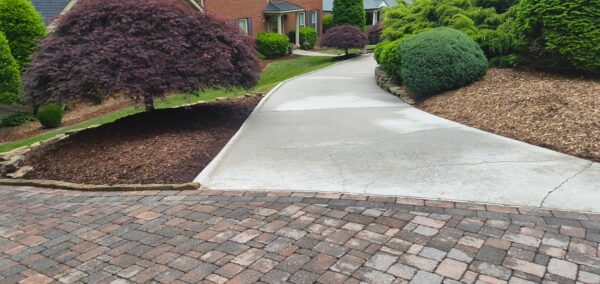 #image_title