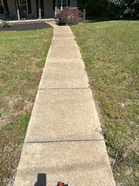 This comprehensive exterior cleaning project involved a full soft wash of the home's surfaces, a dedicated pressure wash of concrete hardscapes and retaining walls, and a gentle cleaning of the wood deck and mailbox to remove organic growth and restore the property's appearance.