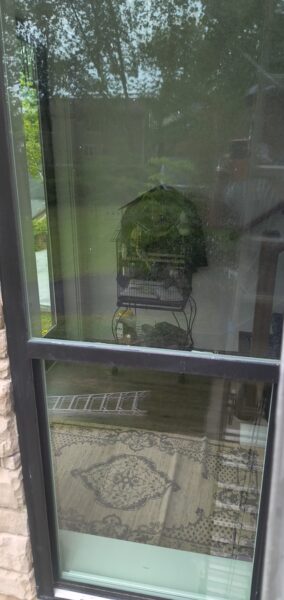 Birdcage on a metal stand inside a room, seen through a glass door with reflections of trees outside.