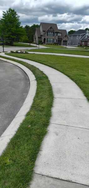 This project in Collegedale involved a comprehensive professional wash and detergent pre-treatment of a concrete driveway and adjacent sidewalk to thoroughly remove heavy dirt, mold, and mildew.