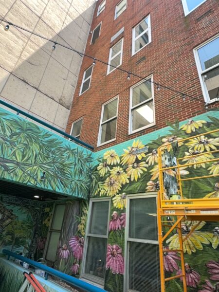 This project encompassed an exterior refresh of a Chattanooga commercial property through power washing structural surfaces, repainting pedestrian bridge handrails, pressure washing concrete areas, and hand-cleaning second-story windows.