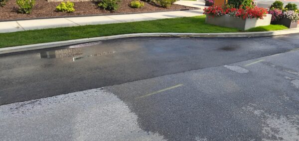 Wet street with small patches of new asphalt and a sidewalk, plus flower planters at the curb on the right.