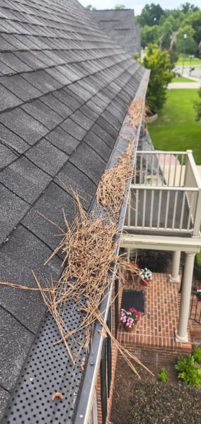 This project provided a comprehensive exterior maintenance service for a Cleveland home, including targeted soft washing of specific house elevations, a full gutter system cleaning, and a professional pressure washing of the driveway and sidewalk.