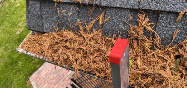 This project provided a comprehensive exterior maintenance service for a Cleveland home, including targeted soft washing of specific house elevations, a full gutter system cleaning, and a professional pressure washing of the driveway and sidewalk.