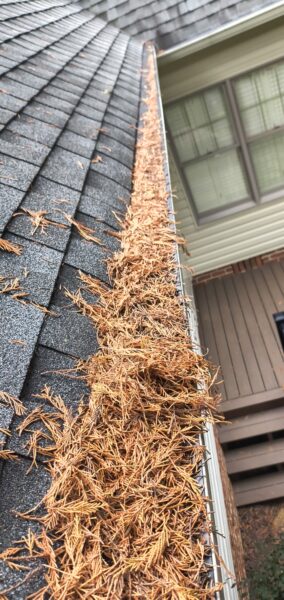 This project provided a comprehensive exterior maintenance service for a Cleveland home, including targeted soft washing of specific house elevations, a full gutter system cleaning, and a professional pressure washing of the driveway and sidewalk.
