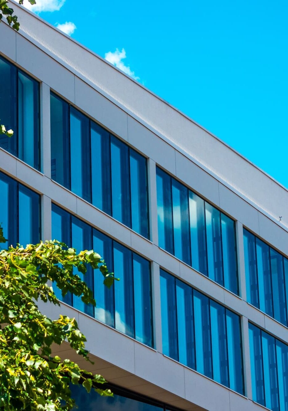 Modern glass window office building 